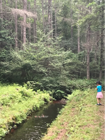f0236736_09371695.jpg