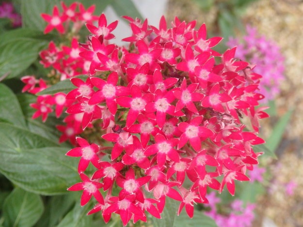 a0054240_21461687.jpg