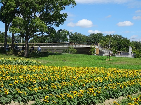 b0299042_11124226.jpg