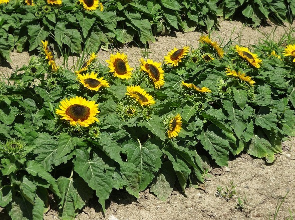 b0299042_11134000.jpg