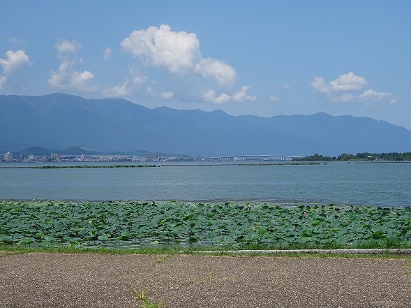 b0299042_16503627.jpg