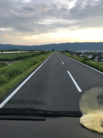 c0133351_21370698.jpg