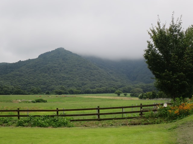 f0202151_19132347.jpg