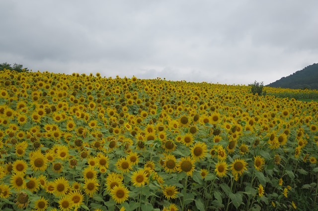 f0202151_19134608.jpg
