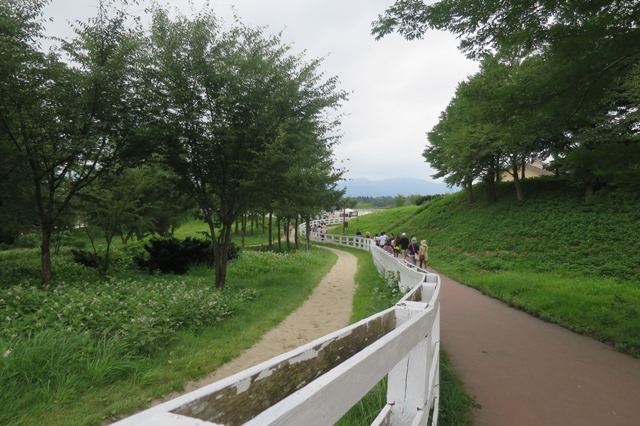 f0202151_19141822.jpg