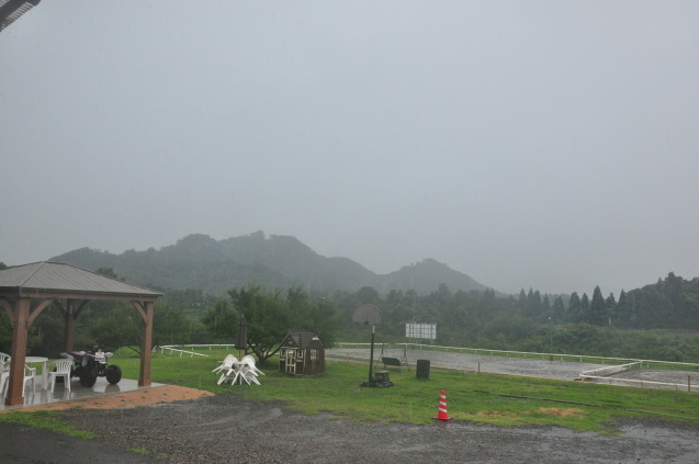 b0214652_19300096.jpg
