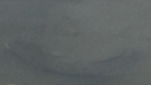 e0133656_2182164.png