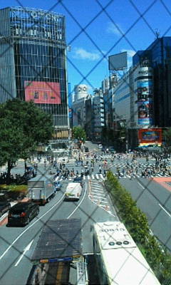 b0105259_10445556.jpg