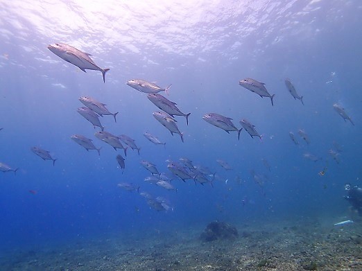 e0132965_14071131.jpg