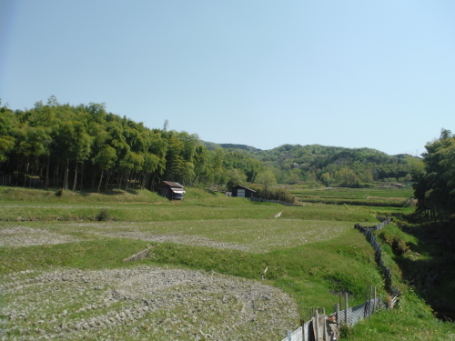 b0332867_11151648.jpg