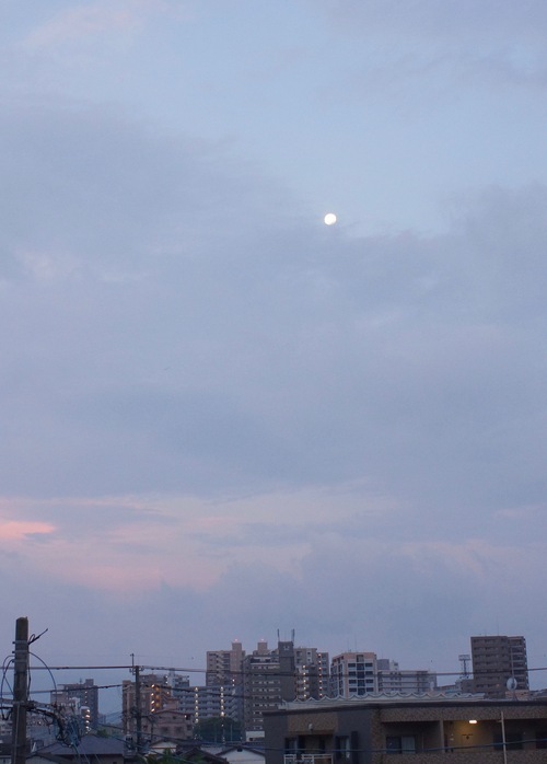 c0169176_745553.jpg