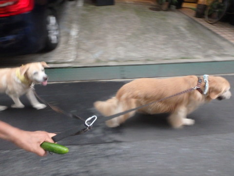 f0052277_02183559.jpg