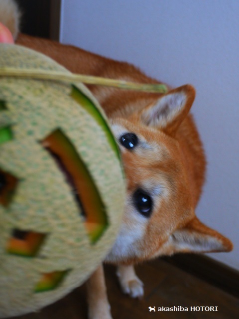 f0150377_19001836.jpg