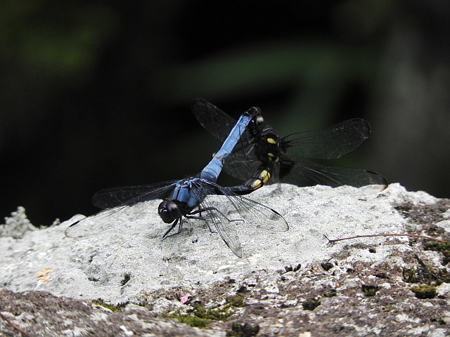 f0378979_22473918.jpg