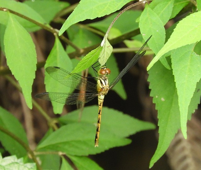 f0378979_22493362.jpg