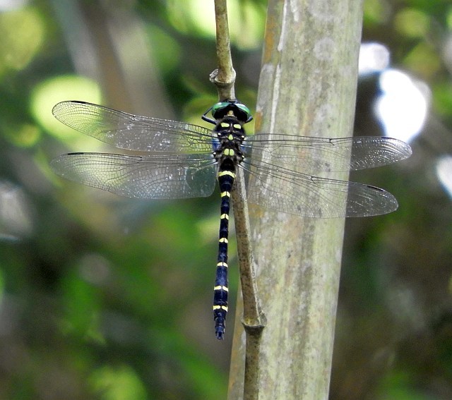 f0378979_23010378.jpg