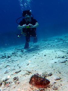 f0144385_18472507.jpg
