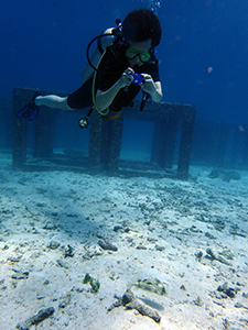 f0144385_18472690.jpg