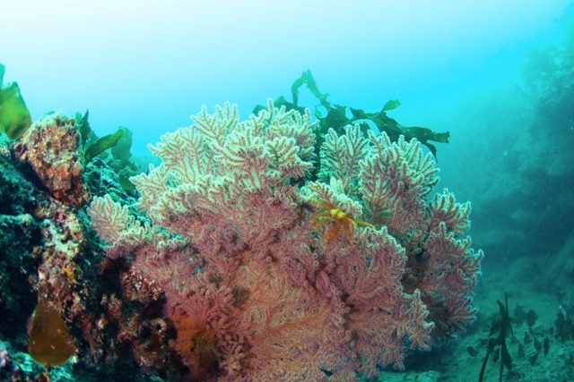 f0151886_16115204.jpg
