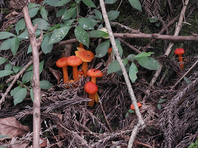 f0357487_035915.jpg