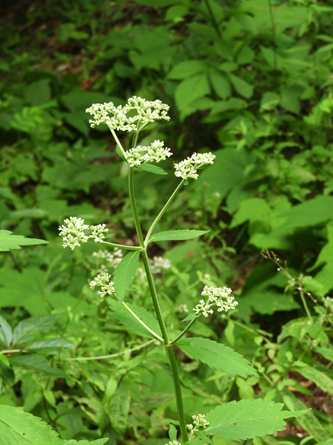 f0357487_03983.jpg