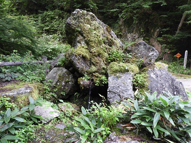 f0357487_052472.jpg