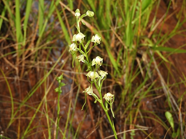 f0357487_10402082.jpg