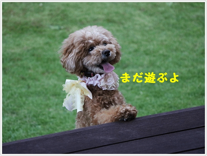 b0175688_00115024.gif