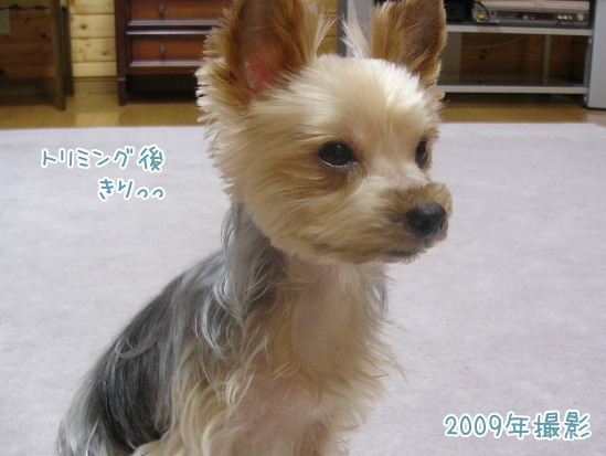 e0290293_17505445.jpg