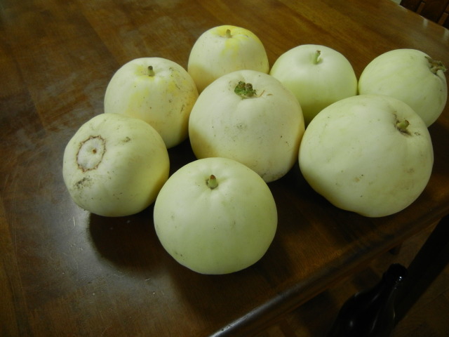 c0361298_13160765.jpg