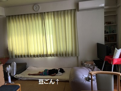 f0372998_17580426.jpg