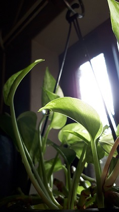 b0366199_17405900.jpg