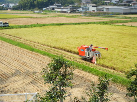 d0174707_13174735.jpg