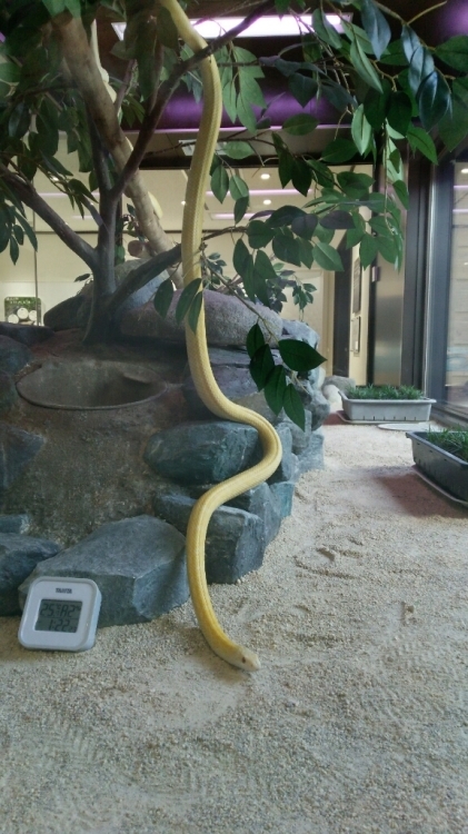 c0016208_20430555.jpg