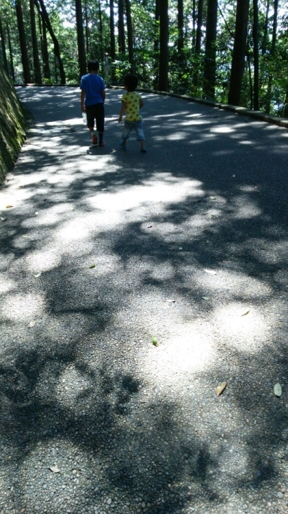 c0016208_20432632.jpg