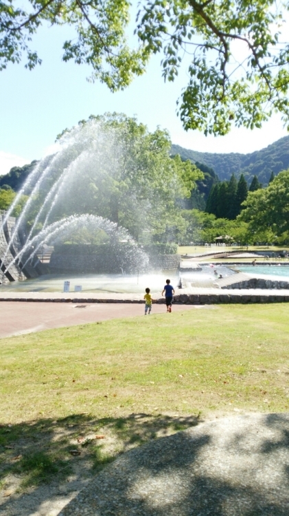 c0016208_20433200.jpg