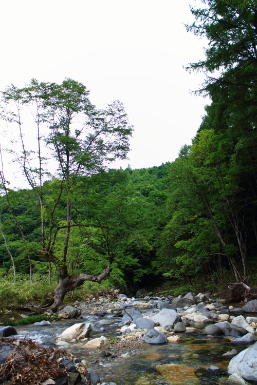 e0174008_17492632.jpg