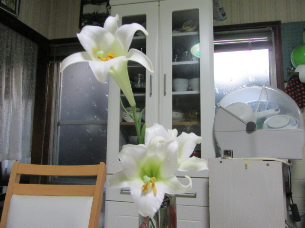 f0231709_00302529.jpg