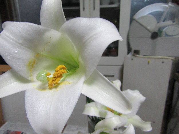 f0231709_00312827.jpg