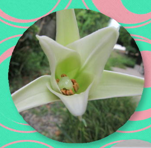 f0231709_00590268.png