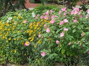 f0325309_18323556.jpg