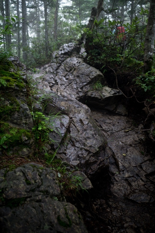 c0186410_07552335.jpg