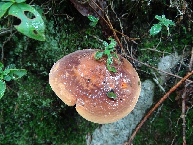 f0360815_17123001.jpg