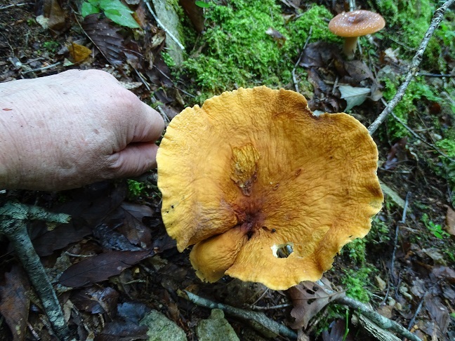 f0360815_17123134.jpg