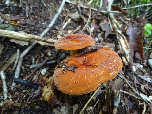 f0360815_17123192.jpg