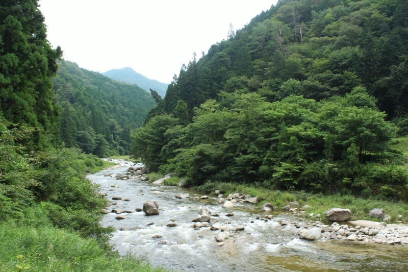 b0220318_22464100.jpg