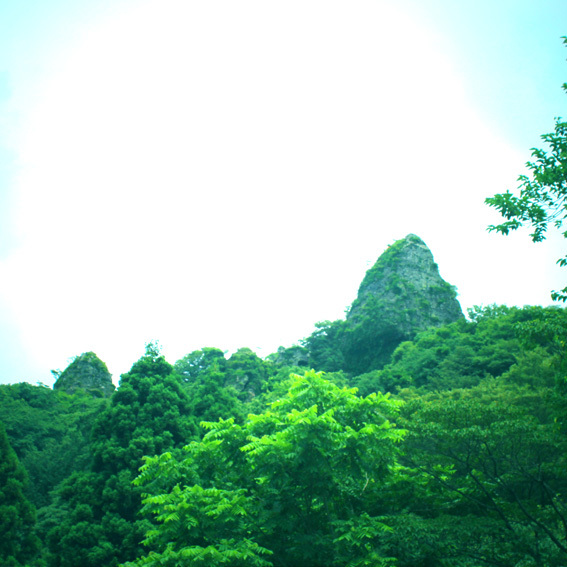 a0329820_16544275.jpg