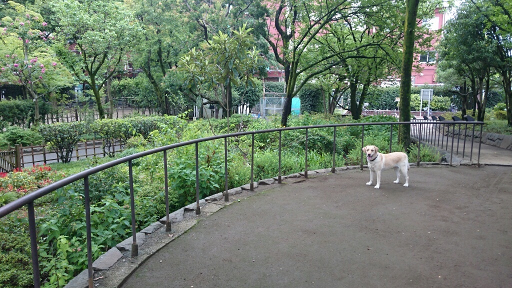 b0339522_13231513.jpg