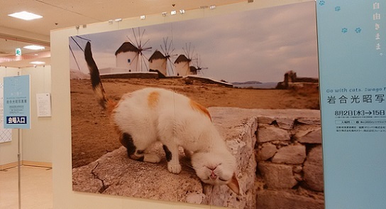 c0280322_23081606.jpg