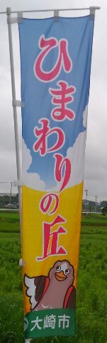 d0250123_16363670.jpg